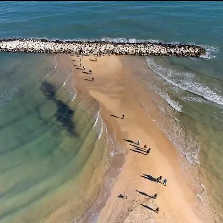 Summer Paradise Daire